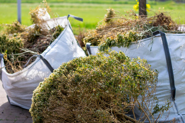 Best Appliance Removal Near Me  in Starbuck, MN